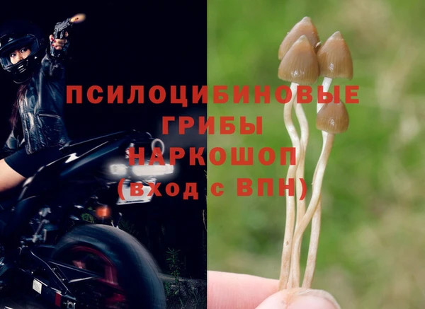 гашиш Арсеньев