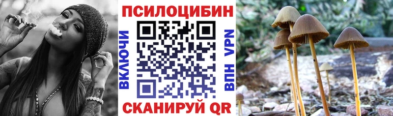 Галлюциногенные грибы мухоморы  Могоча 