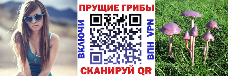Галлюциногенные грибы Psilocybine cubensis Могоча